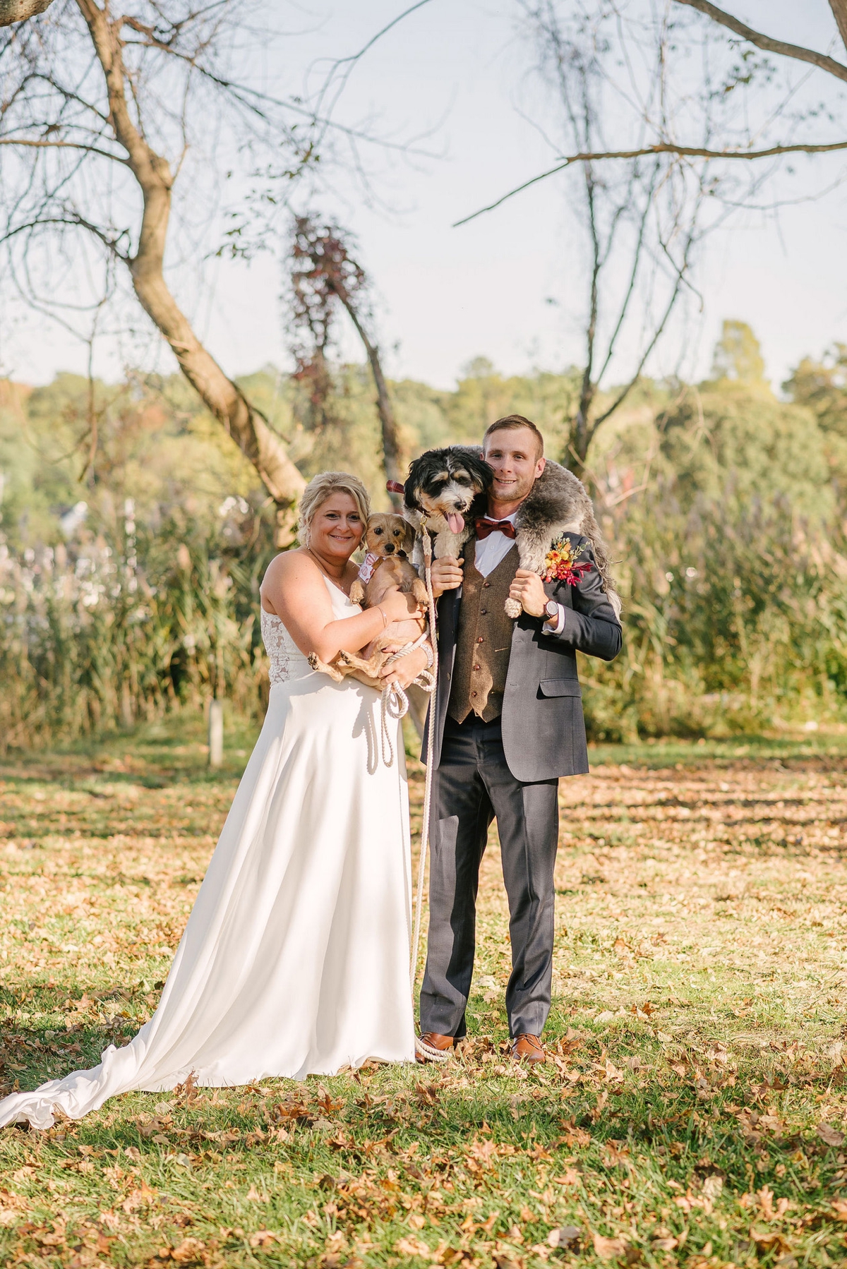 Bride and groom posing for portraits with their dogs